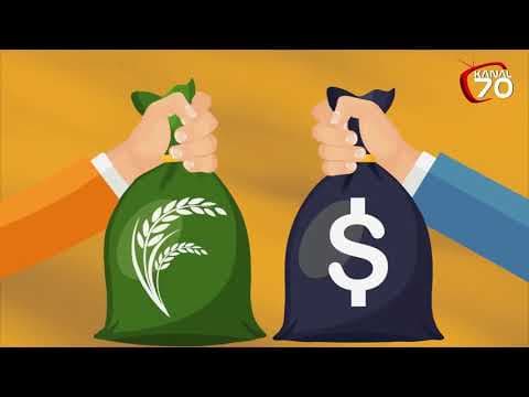 EKONOMİ ANLATIMI