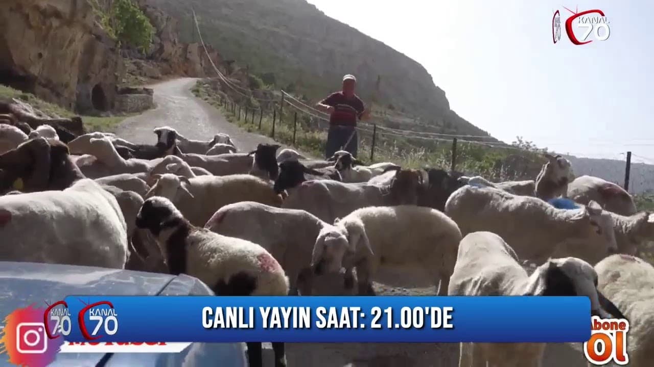Atilla Zorlu Canlı yayında