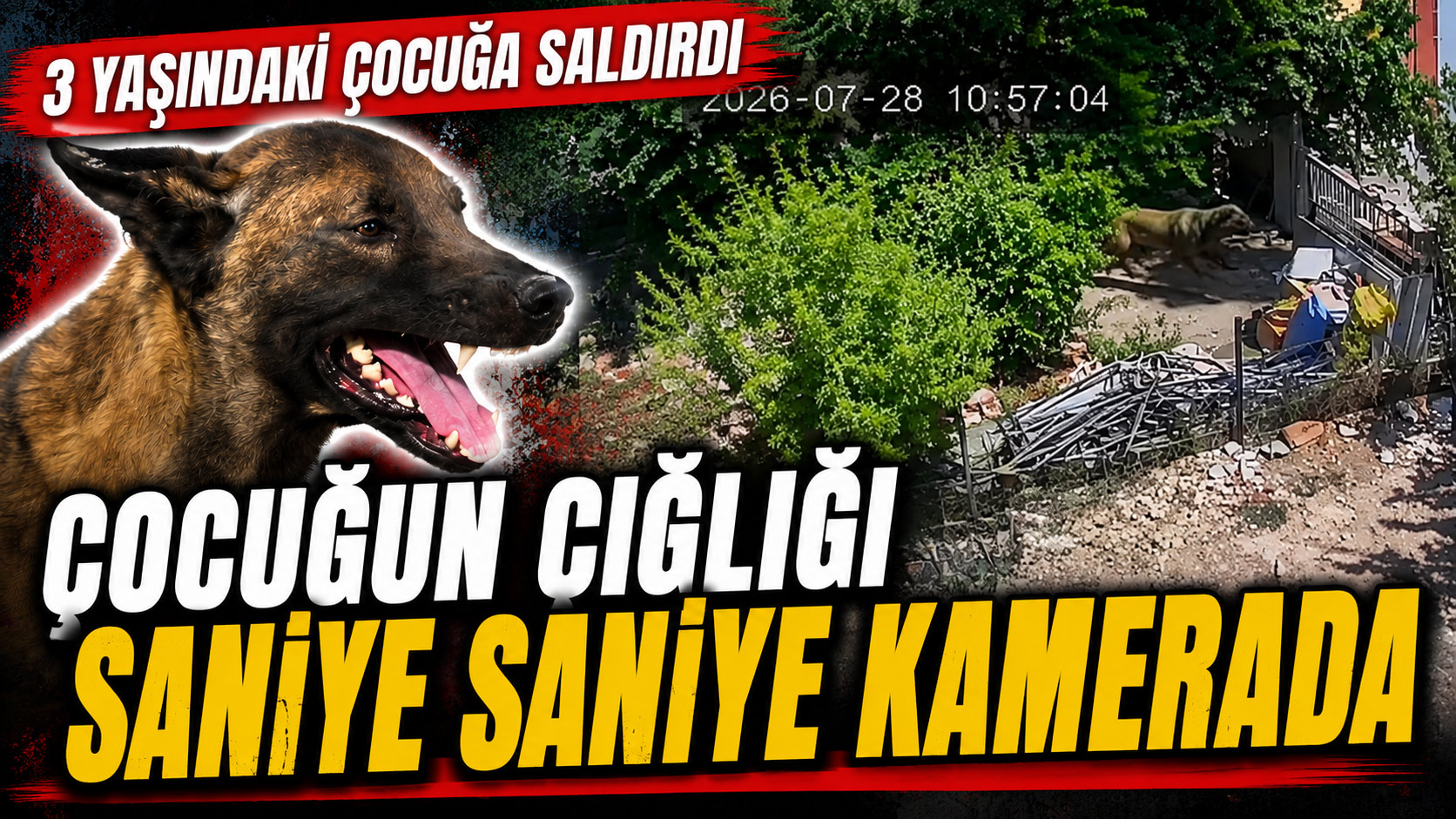 Karaman'da köpek dehşeti: 3 yaşındaki çocuk ağır yaralandı